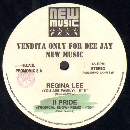 VARIOUS (REGINA LEE / II PRIDE / BLACK MACHINE / E.V.O.E.) - You Are Family / Tropical Snow Remix / Funky Funky People Remix / Es Pa Ti (Mi Vida)