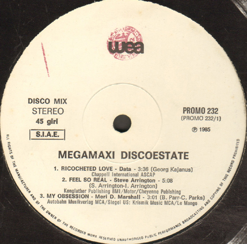 VARIOUS (ENGLISH EVENINGS / NILE RODGERS / THEREZA BAZAR / DATA / STEVE ARRINGTON / MERI D. MARSHALL) - Megamaxi Discoestate