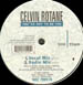 CELVIN ROTANE - You've Got To Be You