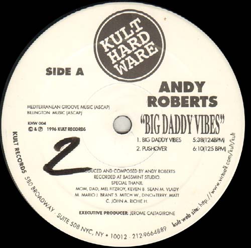 ANDY ROBERTS - Big Daddy Vibes