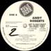 ANDY ROBERTS - Big Daddy Vibes