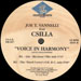 JOE T. VANNELLI - Voice in Harmony, Feat. Csilla