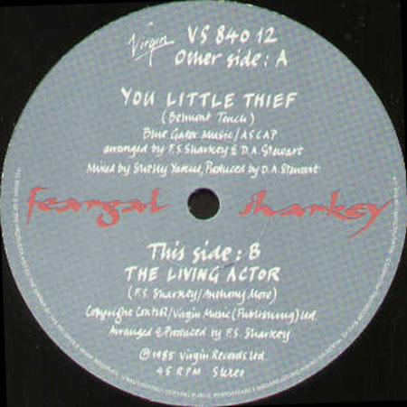 FEARGAL SHARKEY - You Little Thief